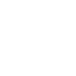 Stanley Steamer 1