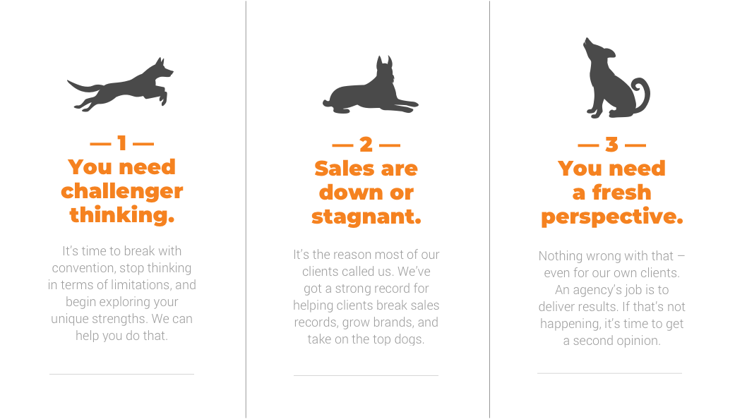 Contact The Loomis Agency