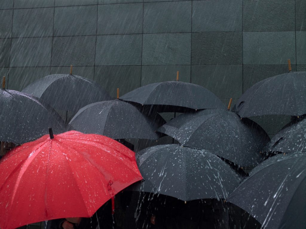 umbrella