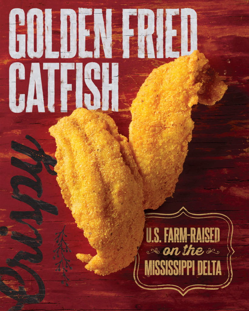 Golden Chick Plexi Catfish