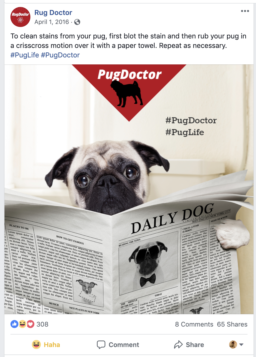 Pug Doctor 3