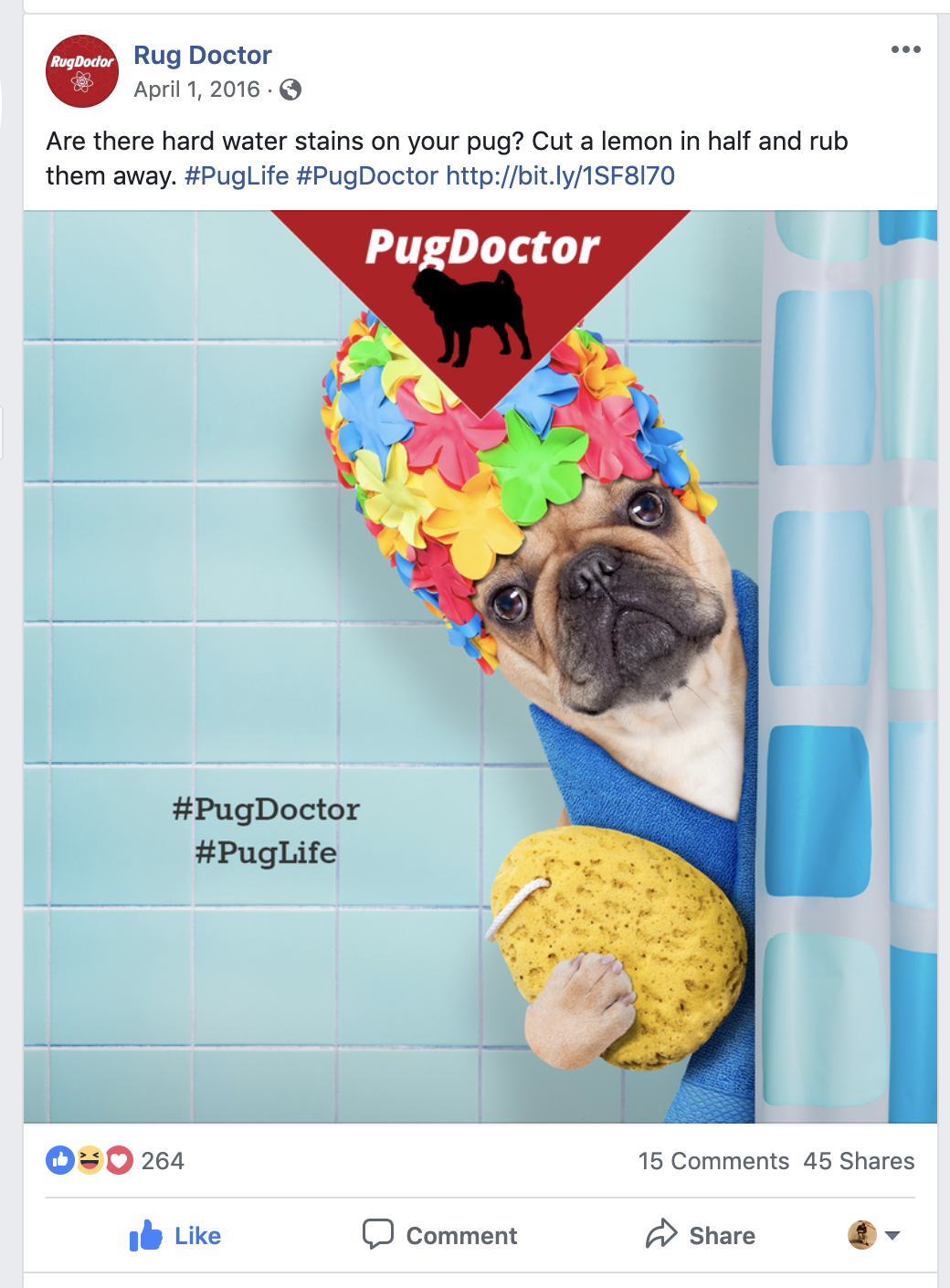 Pug Doctor 7