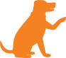dog orange
