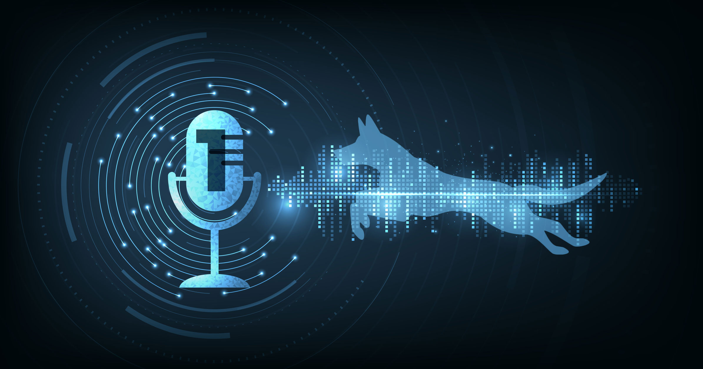 The Voice Of The Underdog