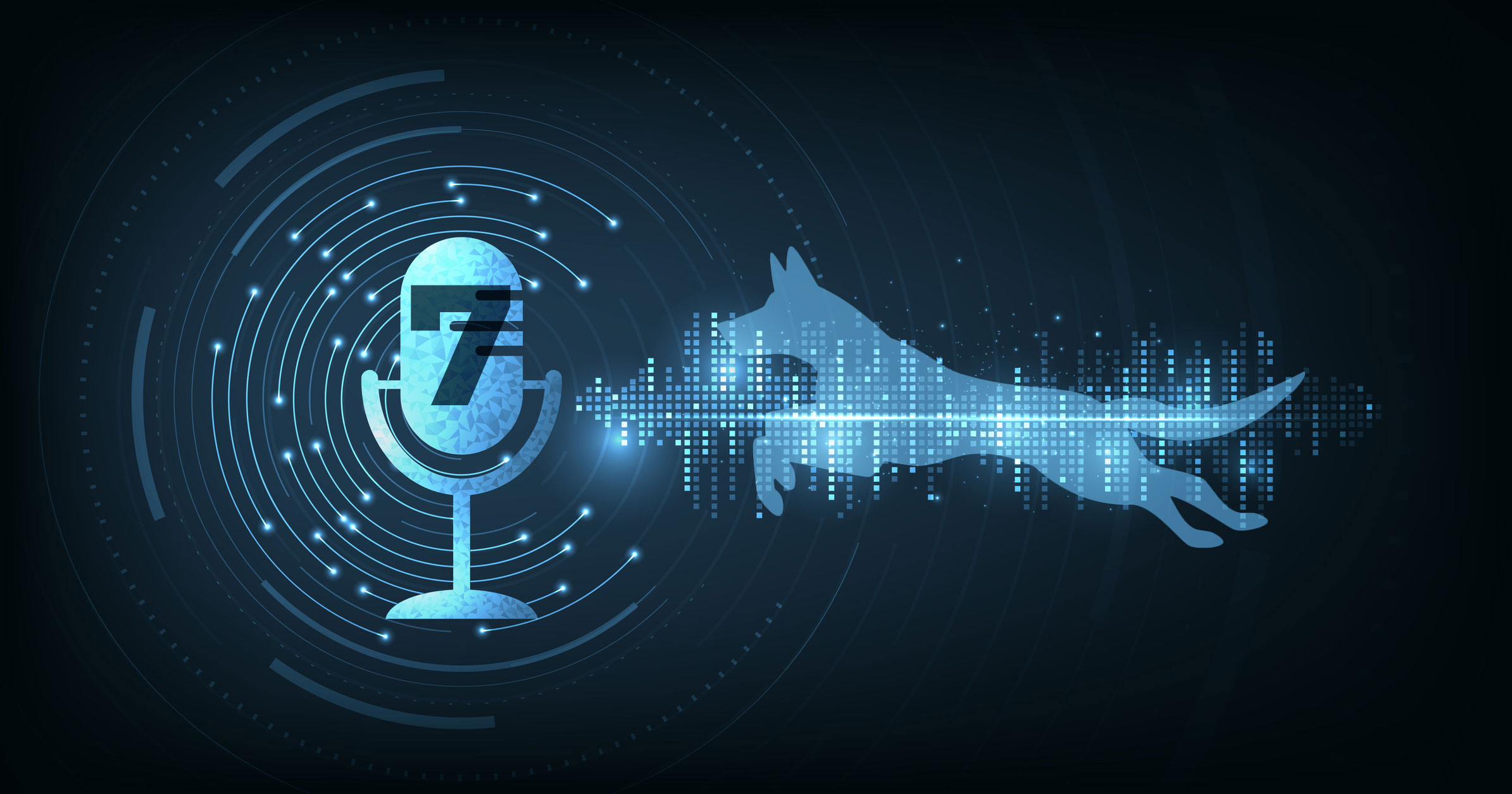 The Voice Of The Underdog